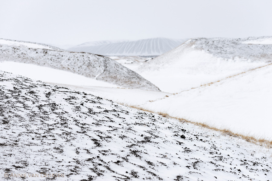 Pseudokraters Mývatn bedekt met sneeuw in de winter. Hverfell (Hverfjall) op de achtergrond.