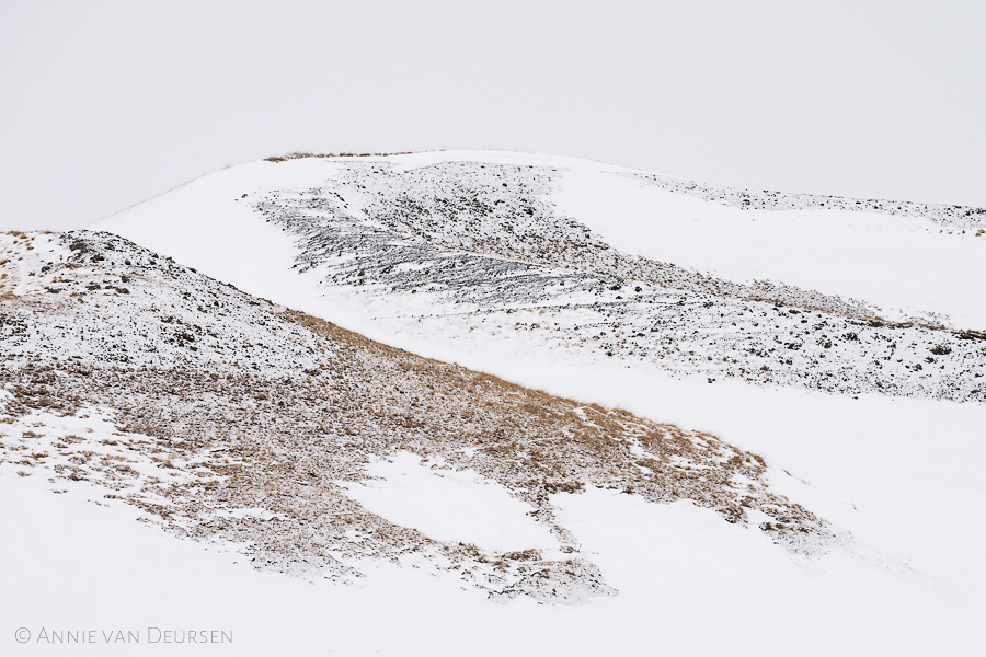 Pseudokraters Mývatn bedekt met sneeuw in de winter.